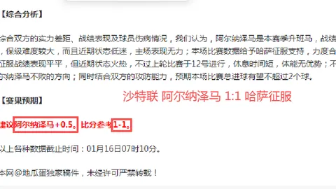 篮球盛宴！火箭对决黄蜂，公推解析：揭秘精彩对决背后的战术奥秘！